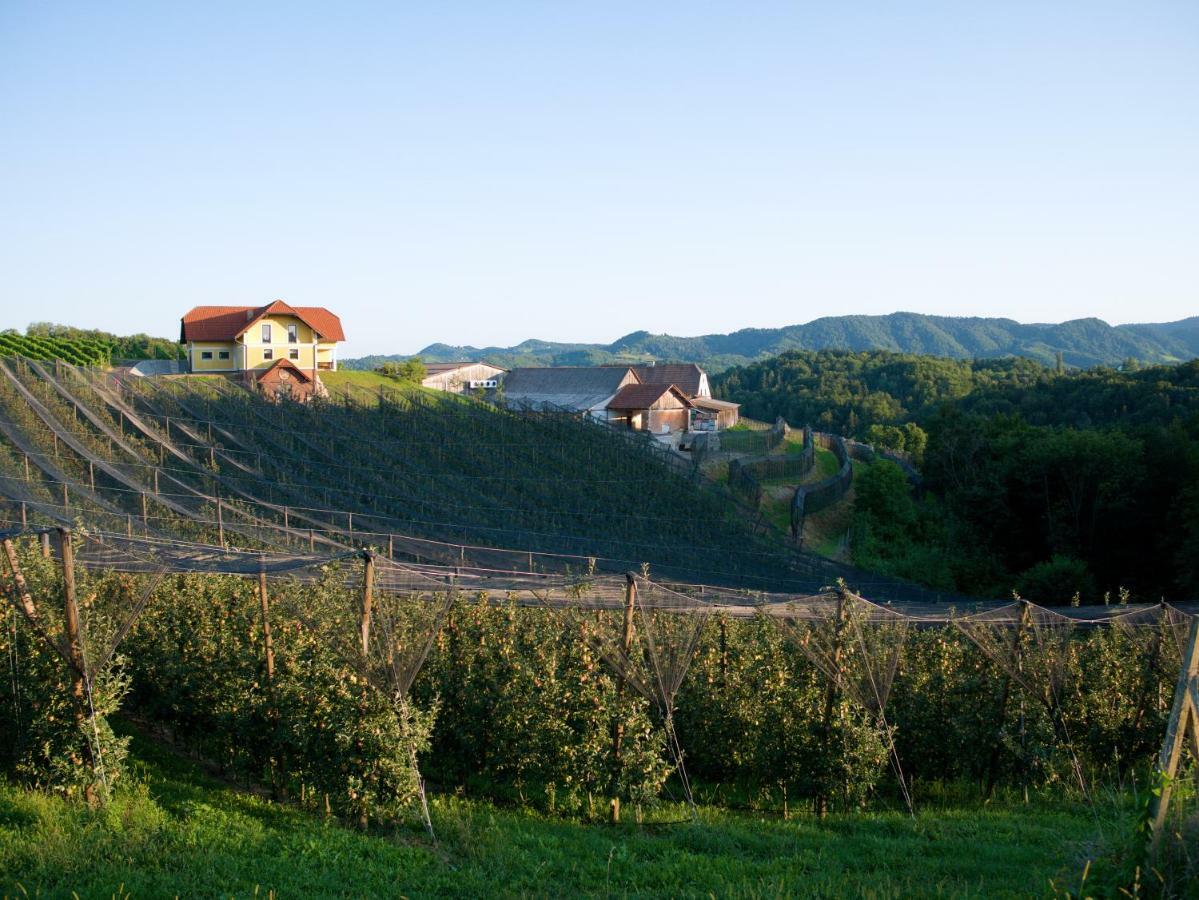 Holiday Home Winzerhaus Eva Spicnik Dış mekan fotoğraf