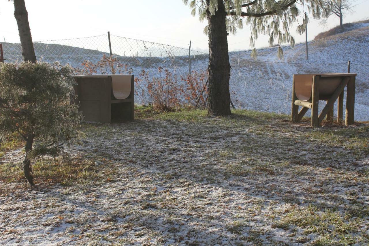 Holiday Home Winzerhaus Eva Spicnik Dış mekan fotoğraf
