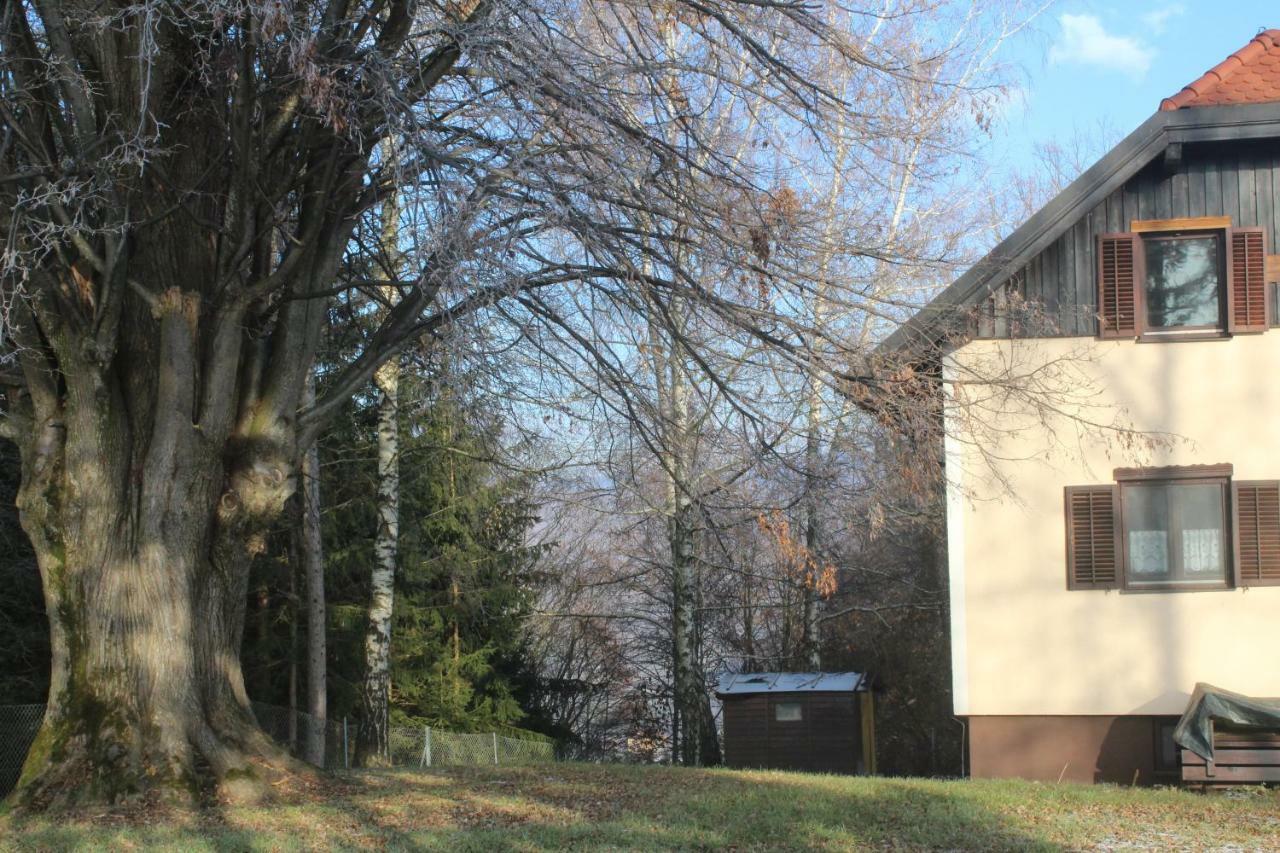 Holiday Home Winzerhaus Eva Spicnik Dış mekan fotoğraf